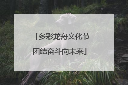 多彩龙舟文化节 团结奋斗向未来