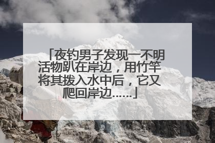 夜钓男子发现一不明活物趴在岸边，用竹竿将其拨入水中后，它又爬回岸边……