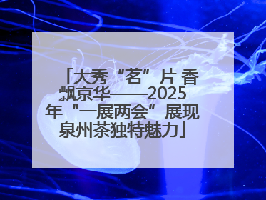 大秀“茗”片 香飘京华——2025年“一展两会”展现泉州茶独特魅力