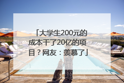 大学生200元的成本干了20亿的项目？网友：羡慕了