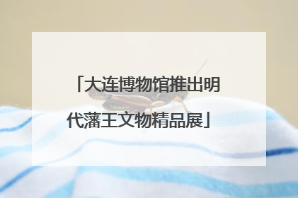 大连博物馆推出明代藩王文物精品展