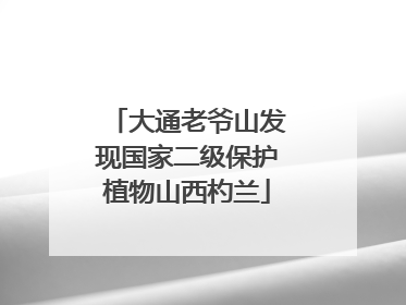 大通老爷山发现国家二级保护植物山西杓兰