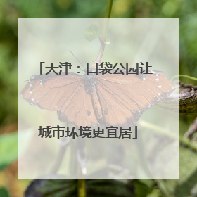 天津：口袋公园让城市环境更宜居