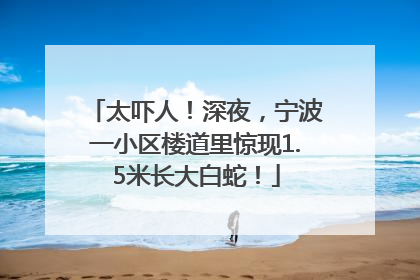 太吓人！深夜，宁波一小区楼道里惊现1.5米长大白蛇！
