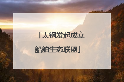 太钢发起成立船舶生态联盟