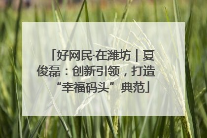 好网民·在潍坊｜夏俊磊：创新引领，打造“幸福码头”典范