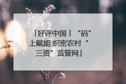 好评中国丨“码”上赋能 织密农村“三资”监管网