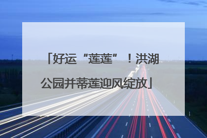 好运“莲莲”！洪湖公园并蒂莲迎风绽放