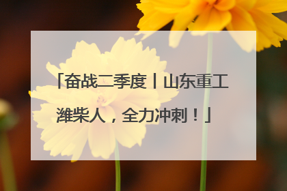 奋战二季度丨山东重工潍柴人，全力冲刺！