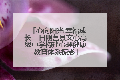 心向阳光 幸福成长—日照莒县文心高级中学构建心理健康教育体系掠影