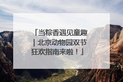 当粽香遇见童趣｜北京动物园双节狂欢指南来啦！
