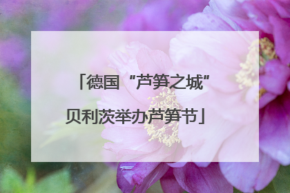 德国“芦笋之城”贝利茨举办芦笋节