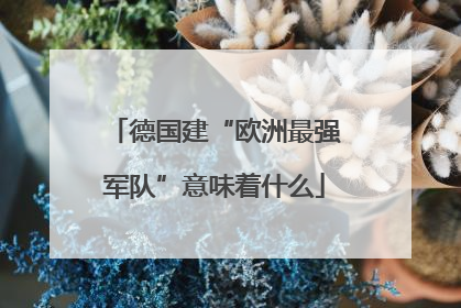 德国建“欧洲最强军队”意味着什么