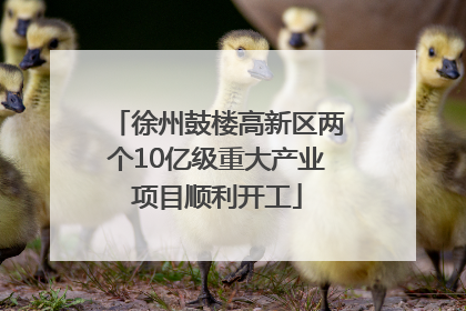 徐州鼓楼高新区两个10亿级重大产业项目顺利开工