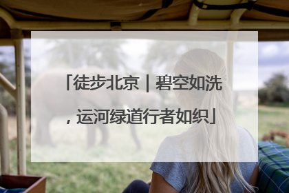 徒步北京｜碧空如洗，运河绿道行者如织