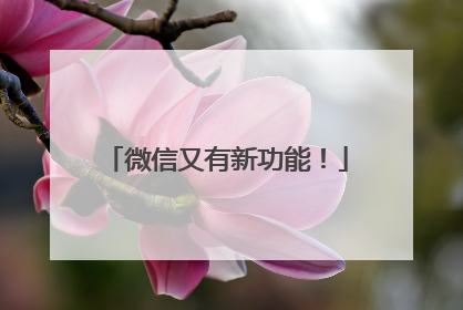 微信又有新功能！