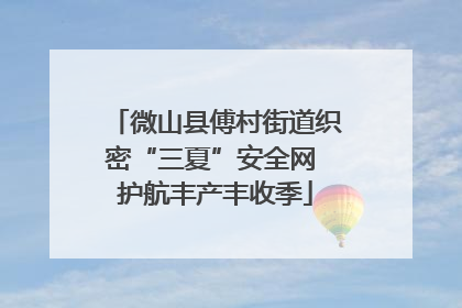 微山县傅村街道织密“三夏”安全网 护航丰产丰收季