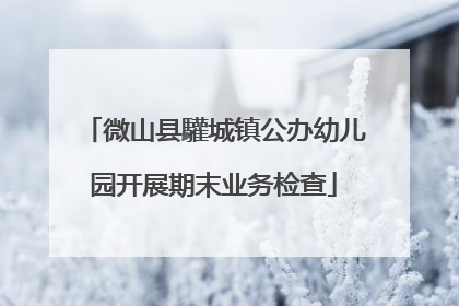 微山县驩城镇公办幼儿园开展期末业务检查