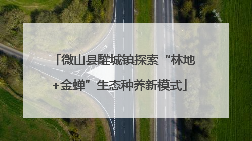 微山县驩城镇探索“林地+金蝉”生态种养新模式