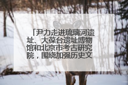 尹力走进琉璃河遗址、大葆台遗址博物馆和北京市考古研究院，围绕加强历史文化名城保护调研