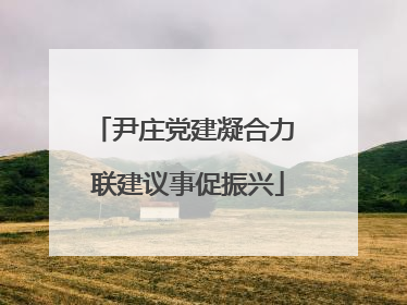 尹庄党建凝合力 联建议事促振兴