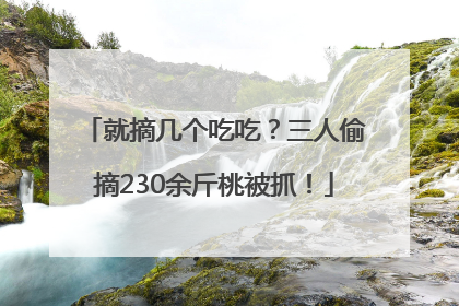 就摘几个吃吃？三人偷摘230余斤桃被抓！