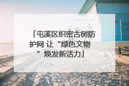 屯溪区织密古树防护网 让“绿色文物”焕发新活力