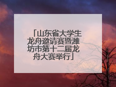 山东省大学生龙舟邀请赛暨潍坊市第十二届龙舟大赛举行
