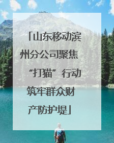 山东移动滨州分公司聚焦“打猫”行动 筑牢群众财产防护堤