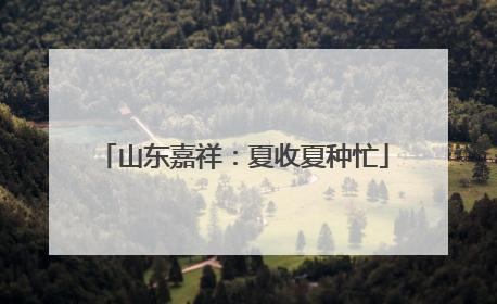 山东嘉祥：夏收夏种忙