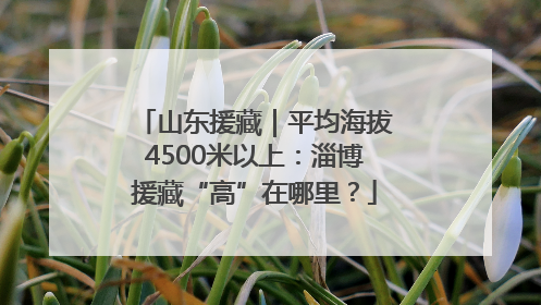 山东援藏｜平均海拔4500米以上：淄博援藏“高”在哪里？