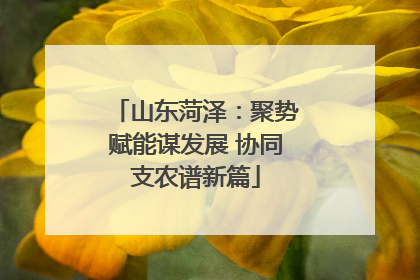 山东菏泽：聚势赋能谋发展 协同支农谱新篇