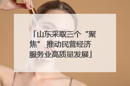 山东采取三个“聚焦” 推动民营经济服务业高质量发展