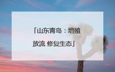 山东青岛：增殖放流 修复生态