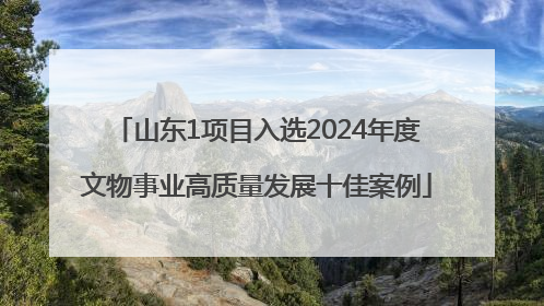 山东1项目入选2024年度文物事业高质量发展十佳案例