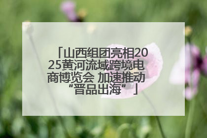 山西组团亮相2025黄河流域跨境电商博览会 加速推动“晋品出海”