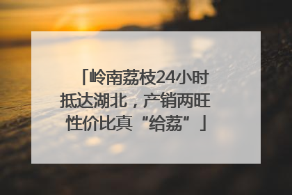 岭南荔枝24小时抵达湖北，产销两旺性价比真“给荔”
