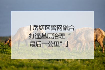 岳塘区警网融合 打通基层治理“最后一公里”