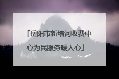 岳阳市新墙河收费中心为民服务暖人心
