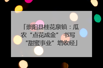 崇阳县桂花泉镇：瓜农“点花成金” 书写“甜蜜事业”增收经