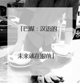 巴媒：汉语的未来就在眼前