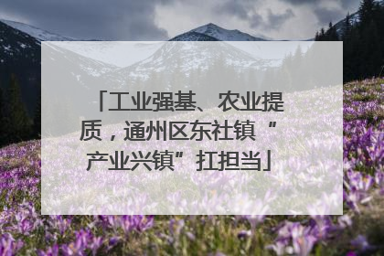 工业强基、农业提质，通州区东社镇“产业兴镇”扛担当