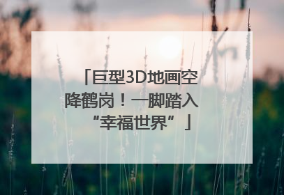 巨型3D地画空降鹤岗！一脚踏入“幸福世界”