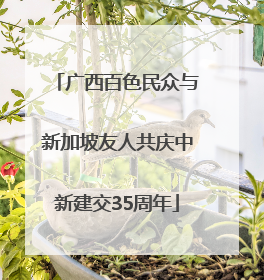 广西百色民众与新加坡友人共庆中新建交35周年