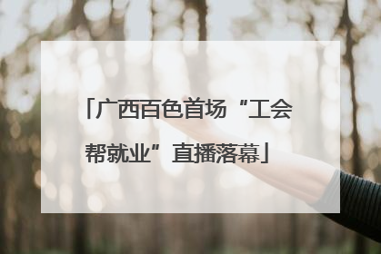 广西百色首场“工会帮就业”直播落幕
