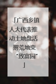 广西乡镇人大代表推动土地盘活 撂荒地变“致富园”