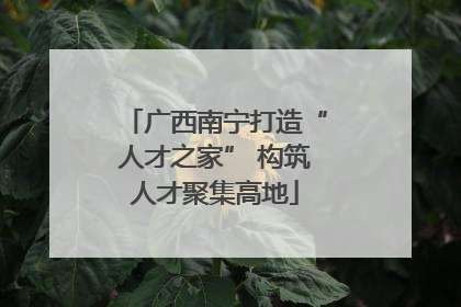 广西南宁打造“人才之家” 构筑人才聚集高地