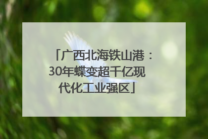 广西北海铁山港：30年蝶变超千亿现代化工业强区