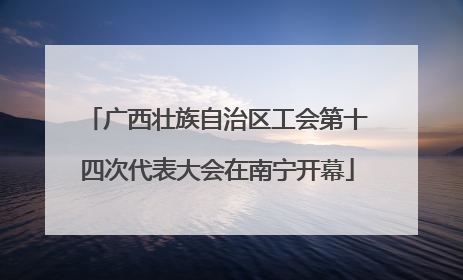 广西壮族自治区工会第十四次代表大会在南宁开幕