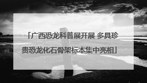 广西恐龙科普展开展 多具珍贵恐龙化石骨架标本集中亮相